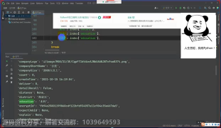 【Python爬虫】拉钩网职业招聘数据采集（发送请求、解析数据、保存数据）详细过程讲解_第3节 #硬声创作季 