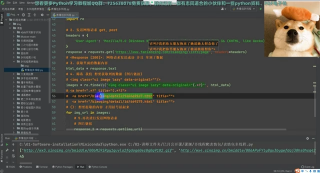 【Python爬虫】最适合于python小白的爬虫案例教程-多线程采集表情包网站_第3节 #硬声创作季 