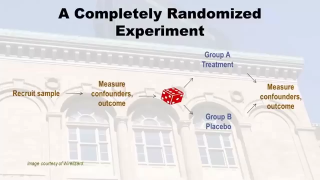 数据科学,代码