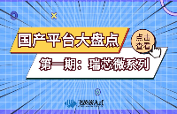 飞凌嵌入式「国产」平台大盘点（一）瑞芯微系列