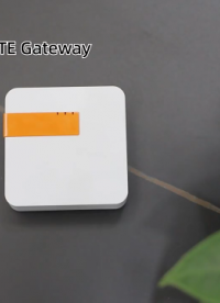DSGW-090 PoE(以太網供電)網關用于智能家居、智能安防和智慧養老服務