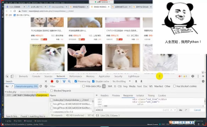 每天一個(gè)Python案例教學(xué)，專業(yè)Python講師詳細(xì)講解貓舍數(shù)據(jù)爬取并可視化步驟_第2節(jié) #硬聲創(chuàng)作季 