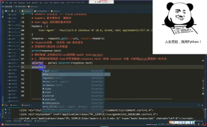 每天一個(gè)Python案例教學(xué)，專業(yè)Python講師詳細(xì)講解貓舍數(shù)據(jù)爬取并可視化步驟_第4節(jié) #硬聲創(chuàng)作季 