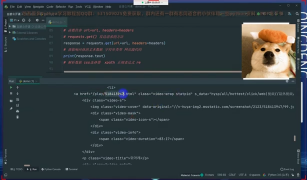 零基礎學python爬蟲：采集某牙直播上小姐姐跳舞視頻_第4節 #硬聲創作季 