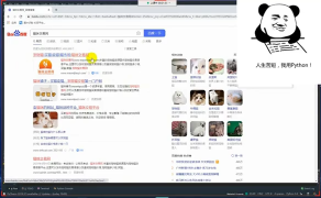每天一個Python案例教學，專業Python講師詳細講解貓舍數據爬取并可視化步驟_第1節 #硬聲創作季 