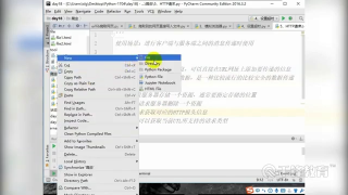 千鋒Python教程：147 爬蟲簡介與json_第2節 #硬聲創作季 