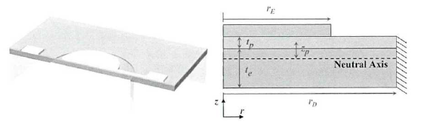 PMUT的3D結(jié)構(gòu)與橫截面示意圖