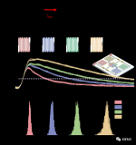 一种接近像素级读出的超导纳米线单光子探测器（SNSPD）阵列