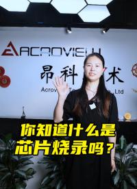 你知道什么是芯片燒錄嗎？# 燒錄器
