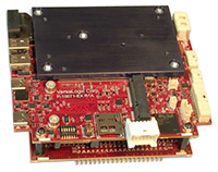 Liger VL-EPM-43 单板计算机 (SBC)