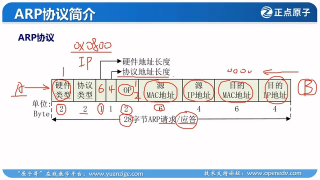 77 75_实战篇：ARP协议简介 - 第5节