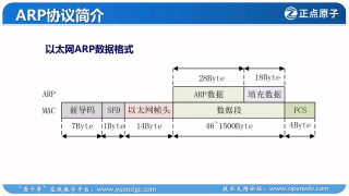 78 76_实战篇：以太网帧格式简介 - 第4节