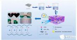 研發(fā)PAM@SiO2-NH2/石墨烯導電水凝膠傳...