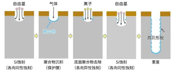 ASIC芯片