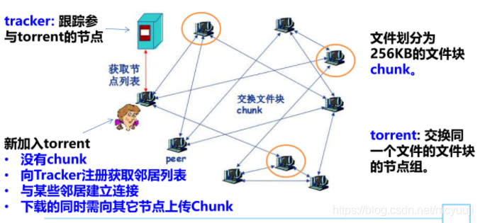 路由器