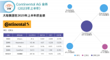 大陸集團(tuán)汽車業(yè)務(wù)重組：分拆賺錢和不賺錢的