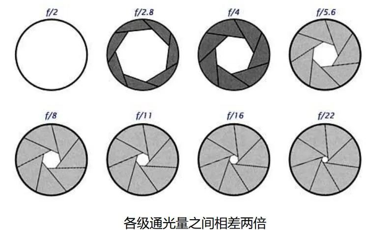 fc61edb6-46da-11ee-a2ef-92fbcf53809c.jpg