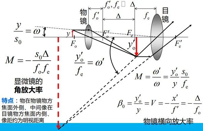 光学成像