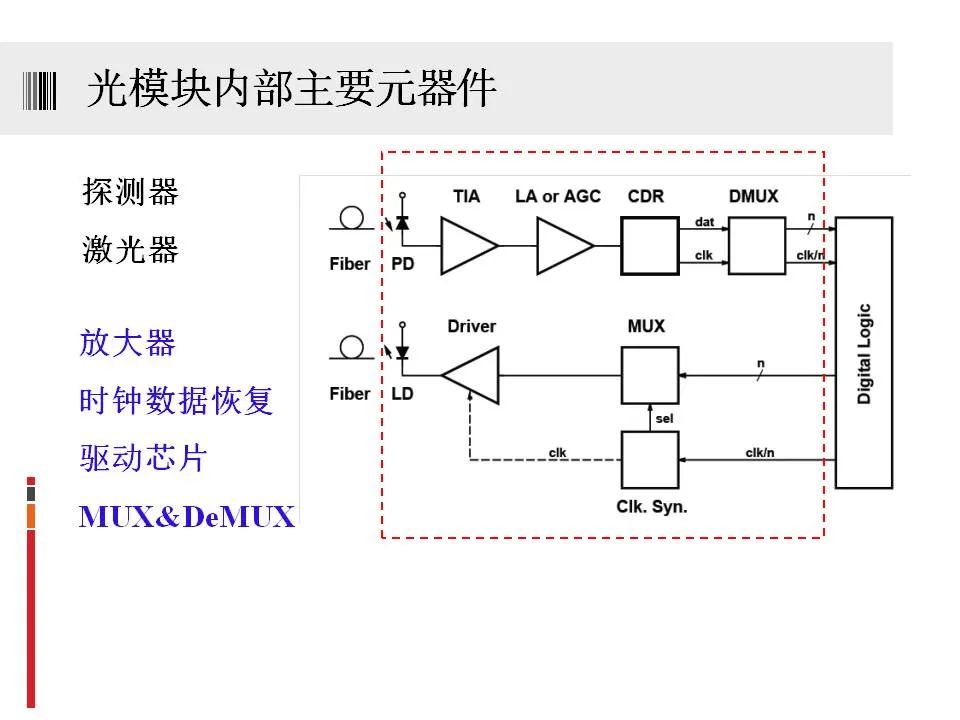 f9036cba-47e5-11ee-97a6-92fbcf53809c.jpg