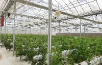 由蜂窝物联倾心打造义乌智慧蔬菜园投入使用，为高效农业提供技术保障