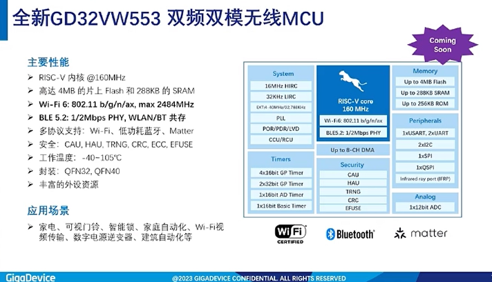 RISC-V