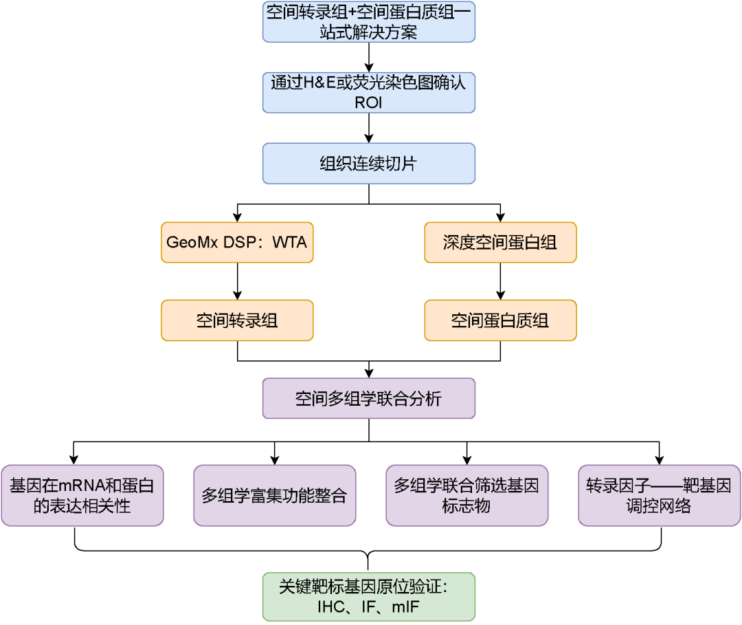 DSP设计