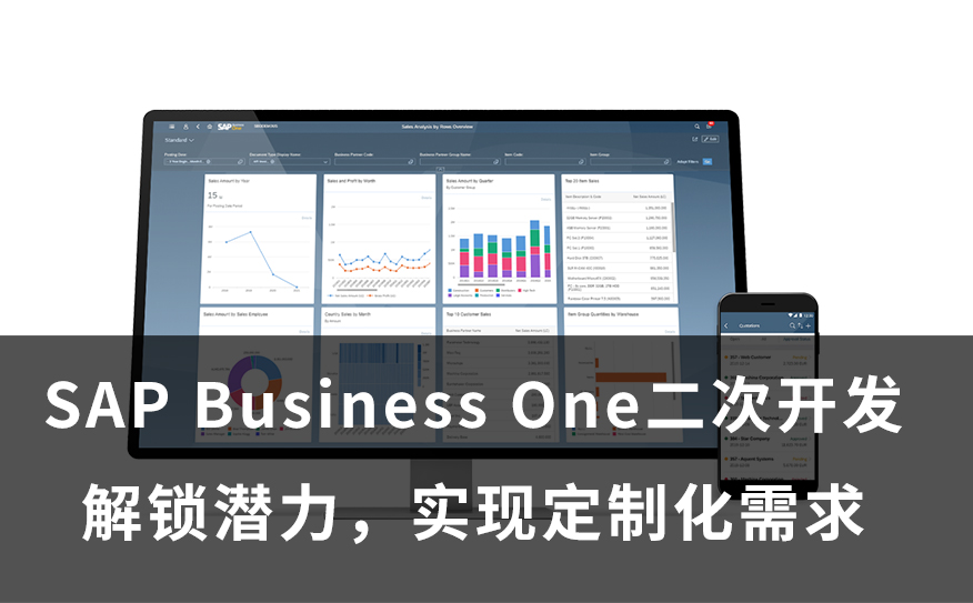 <b class='flag-5'>SAP</b> Business One二次开发：解锁潜力，实现定制化<b class='flag-5'>需求</b>