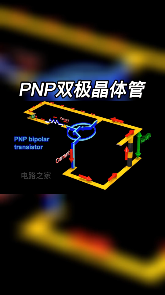 PNP双极