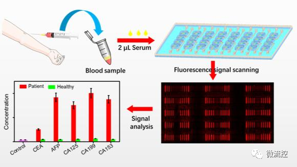 PCR