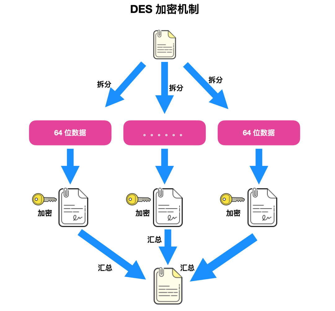 PDU