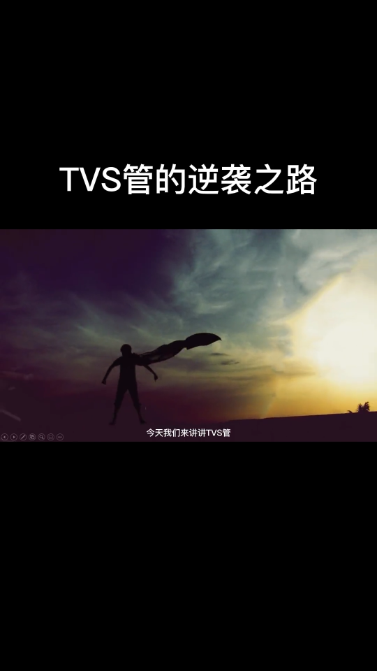 TVS管的草根逆袭了路！