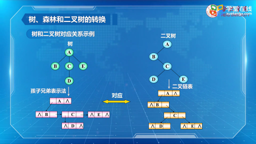  樹和森林(2)#數據結構與算法 