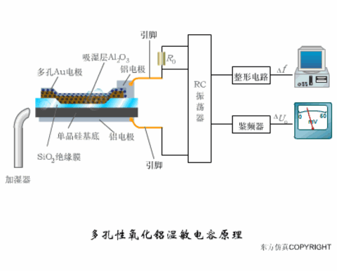 5c36ea70-e5fe-11ef-9310-92fbcf53809c.gif
