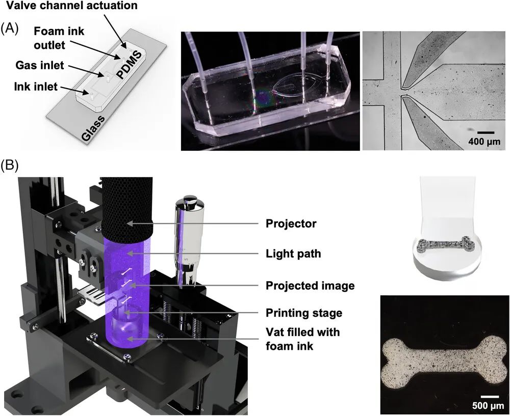 微流控气泡发生器+DLP 3D打印用于构建3D多孔生物支架