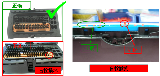 波纹管