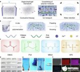 深圳2023光明科學(xué)城智能傳感器加速營(yíng)正式啟動(dòng)，光纖智能傳感器產(chǎn)業(yè)園項(xiàng)目“牽手”這座西部城市