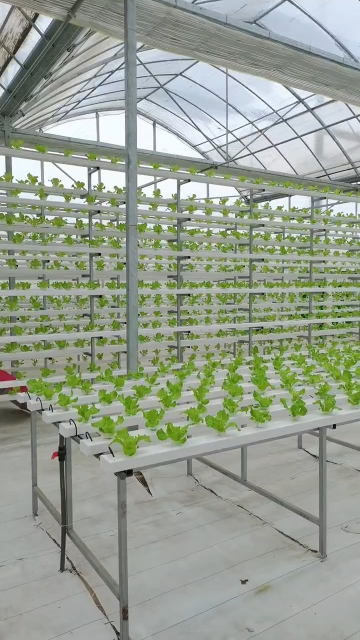 蜂窝物联倾心打造的义乌佛堂智慧蔬菜产业园投入使用，为高效农业提供技术保障