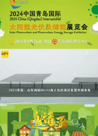 山東搶跑海上光伏新賽道