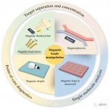 生物应用微流控芯片中的磁珠操控综述