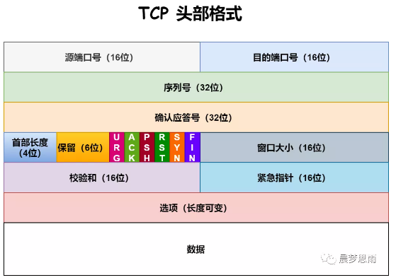 TCP头部格式是什么