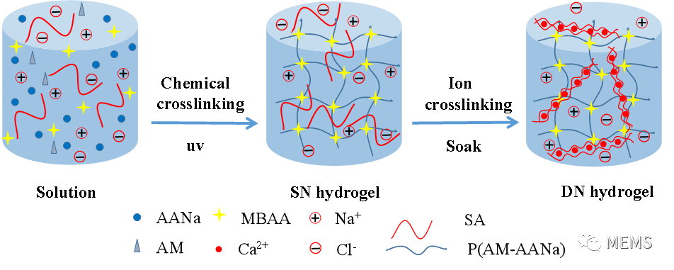 可拉伸导电水凝胶用于应变传感研究获进展