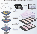 如何利用微图案化芯片实现高通量细胞筛选中程序化药物添加