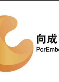 向成電子核心板系列又添新成員了，它就是基于瑞芯微RK3588開發的XC3588_CORE核心板。