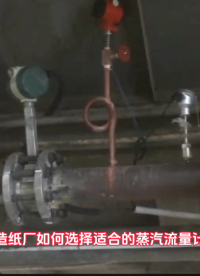 造紙廠的蒸汽流量計需求怎么選？看這里！ #從入門到精通，一起講透元器件！ 