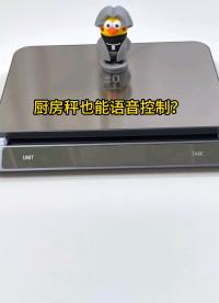  廚房秤也能語音控制？#語音控制 #語音模塊 #語音識別 #離線語音識別 