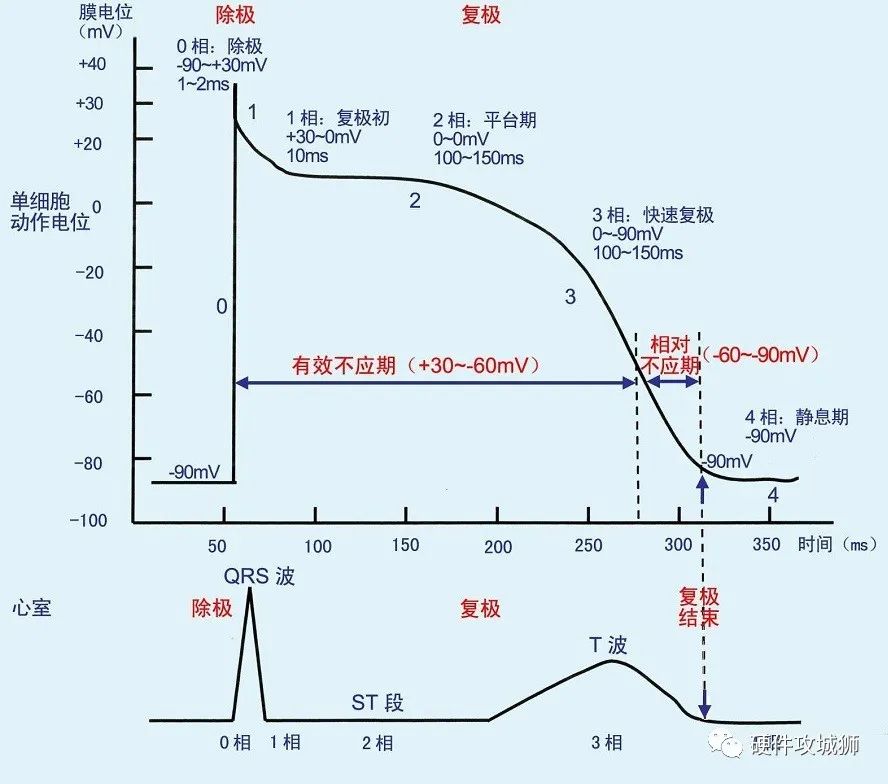 心电信号