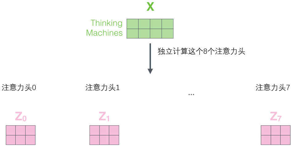 编码