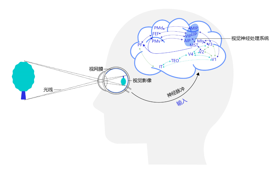 机器视觉