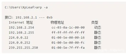 IP协议