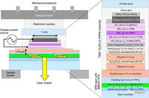 OLED